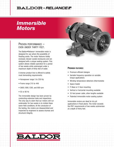 Immersible Motors