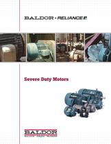 Severe Duty Motors