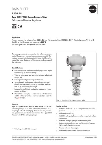 Type 2422/2425 Excess Pressure Valve