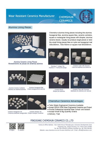 Wear Resistant Ceramics Manufacturer