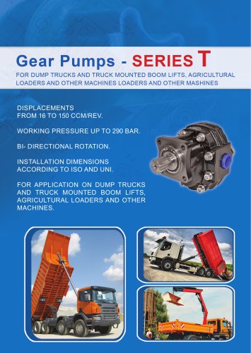 Gear pumps series T