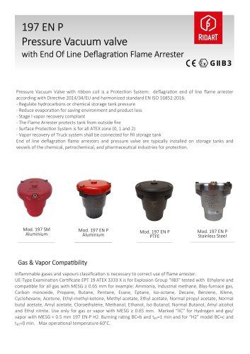 197 ENP END OF LINE DEFLAGRATION PRESSURE VACCUM VALVE