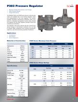 P303 Pressure Regulator