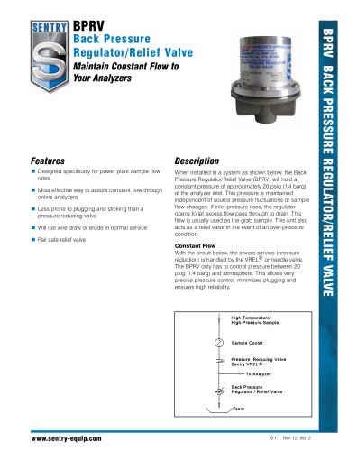 Back Pressure Regulator Valve