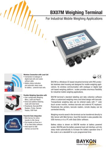 Baykon BX07M Weighing Terminal