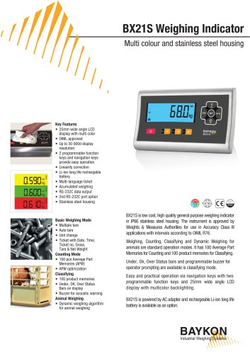 Baykon BX21S Weighing Indicator