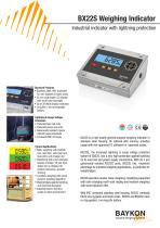 Baykon BX22S Weighing Indicator