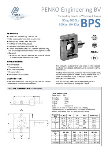 Type BSP