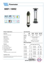 6001, 6002 Flow monitor and indicator for liquids and gases