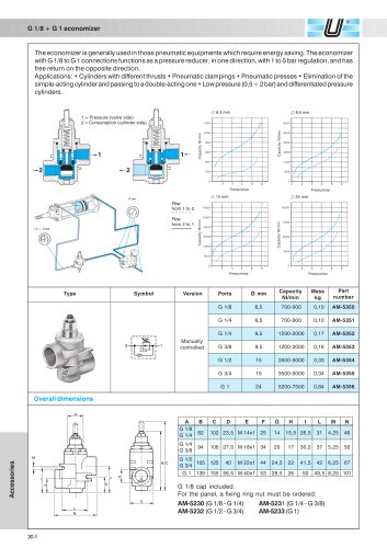 AM-53_Economizers G 1/8 ÷ G 1