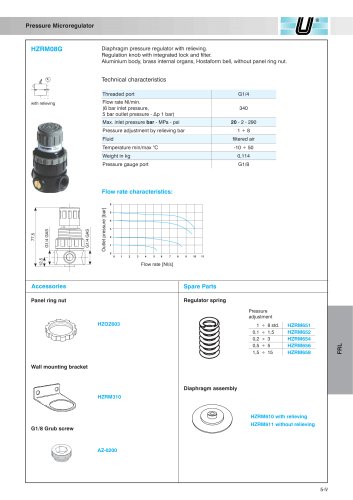 HZRM_Pressure microregulator G1/4