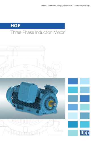 HGF - Three Phase Induction Motor