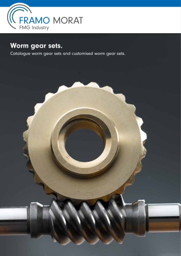 Worm gear sets. Catalogue worm gear sets and customised worm gear sets