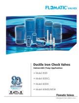 Ductile Iron Check Valves