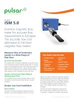 ISM 5.0 Insertion Magmeter