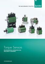 Torque Sensors