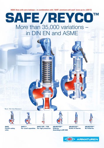 SAFE - Variable & safe