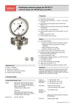 Diaphragm pressure gauge per EN 837-3