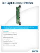 SCM-GbE Interface