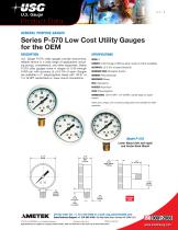 Series P-570 Low Cost Utility Gauges for the OEM