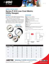 Series P-915 Low Cost Metric Utility Gauges