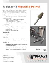 Megabrite Unitized Mounted Points