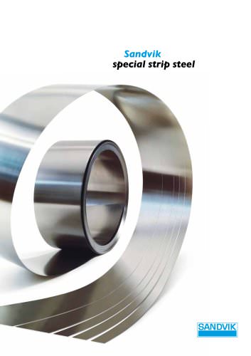 special strip steel