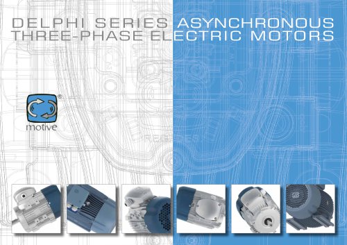 DELPHI three-phase electric motors