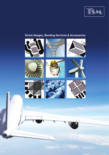 ESI Strain gauges & Bonding services