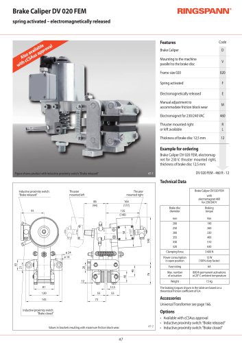 DV 020 FEM