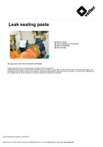 Leak sealing paste