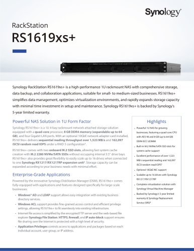 RS1619xs+