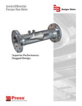 Gemini Differential  Pressure Flow Mete