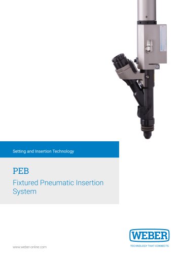 Fixtured insertion system PEB