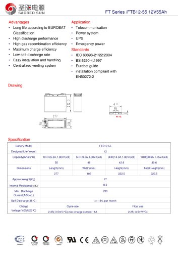 FT Series /FTB12-55 12V55Ah