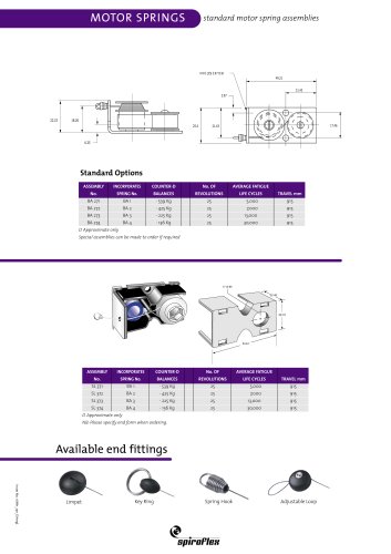 motor springs Assembly