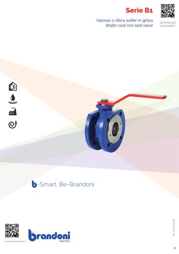 Series B1_2018