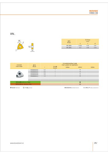 WNMM PCD DIAMOND INSERT