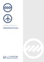 Aeronautical Sector. Company Profile