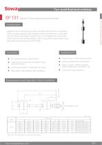 SOWAY Magnetic float switch SF131 two points