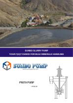 Sunbo Pump Froth Pump Mining Slurry Transport