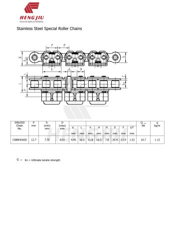 Stainless steel roller chains