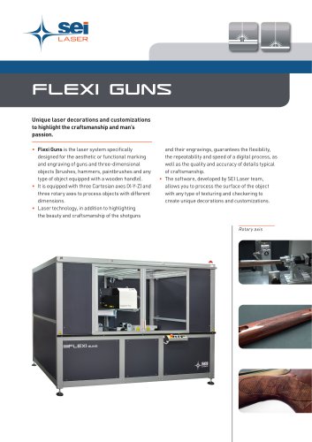 Flexi Guns - technical sheet