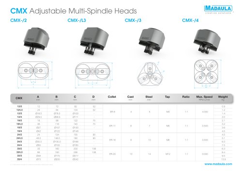 ADJUSTABLE MULTI-SPINDLE HEADS