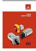 CAM SWITCHES