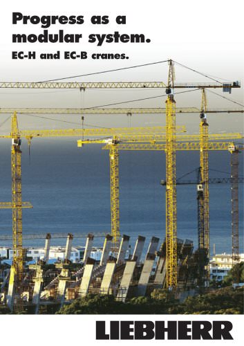 Progress as a modular system. EC-H and EC-B cranes.