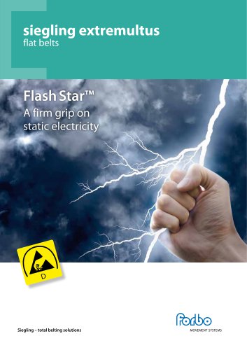 FlashStar™ A firm grip on static electricity