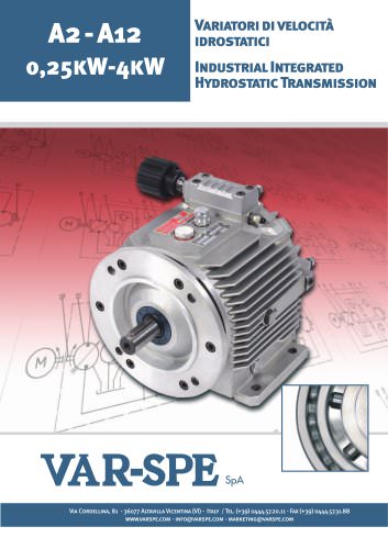 Hydrostatic speed variators 