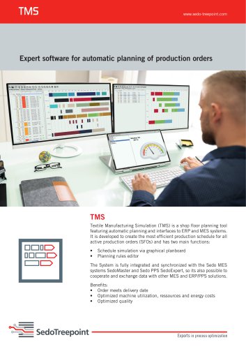 Expert software for automatic planning of production orders