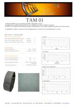 TAM 01